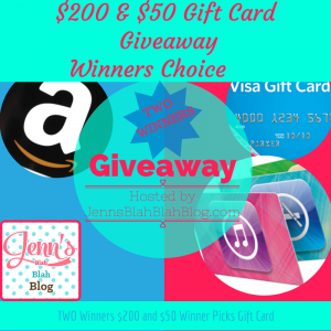250-Gift-Card-Winners-Choice-Giveaway-1