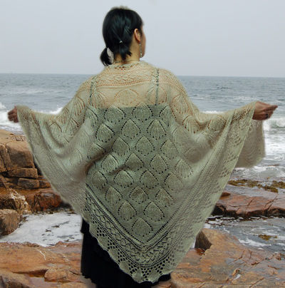 seashells-pic